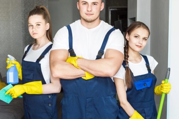 Professional sofa cleaning